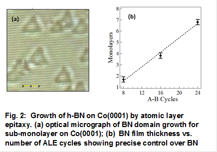  
Fig. 2:  Growth of h-BN on Co(0001) by atomic layer epitaxy. (a) optical micrograph of BN domain growth for sub-monolayer on Co(0001); (b)  BN film thickness vs. number of ALE cycles showing precise control over BN thickness
