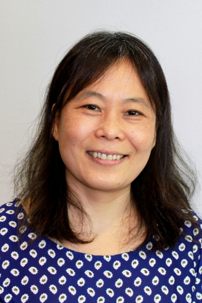 Hong Wang, Ph.D.